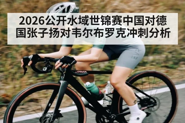 2026公开水域世锦赛中国对德国张子扬对韦尔布罗克冲刺分析