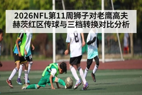 2026NFL第11周狮子对老鹰高夫赫茨红区传球与三档转换对比分析